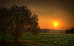 Desktop wallpaper. Nature. ID:30438