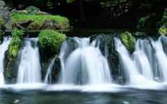 Desktop wallpaper. Nature. ID:30449