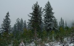 Desktop wallpaper. Nature. ID:30456