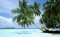 Desktop wallpaper. Nature. ID:30472
