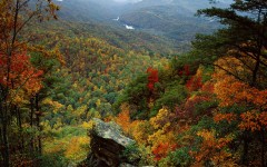 Desktop wallpaper. Nature. ID:30474