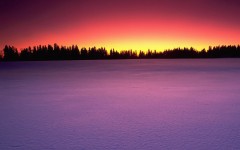 Desktop wallpaper. Nature. ID:30482