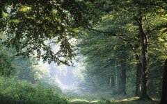 Desktop wallpaper. Nature. ID:30483