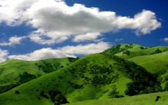 Desktop wallpaper. Nature. ID:30485