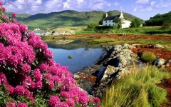 Desktop wallpaper. Nature. ID:30494