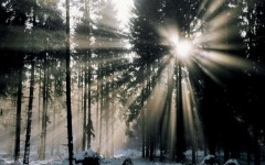 Desktop wallpaper. Nature. ID:30500
