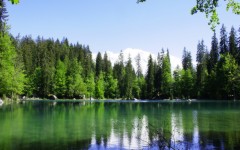 Desktop wallpaper. Nature. ID:30505