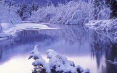Desktop wallpaper. Nature. ID:30513
