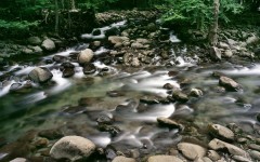 Desktop wallpaper. Nature. ID:30515
