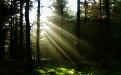Desktop wallpaper. Nature. ID:30526