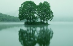 Desktop wallpaper. Nature. ID:30534