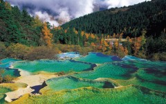 Desktop wallpaper. Nature. ID:30536