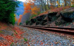 Desktop wallpaper. Nature. ID:30542