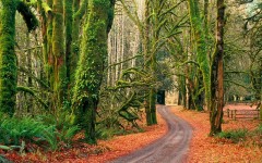 Desktop wallpaper. Nature. ID:30544