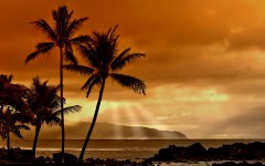 Desktop wallpaper. Nature. ID:30548