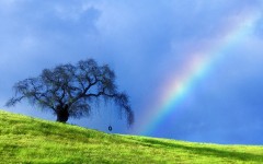 Desktop image. Nature. ID:30564