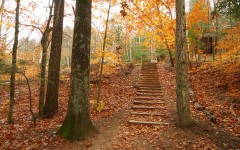 Desktop image. Nature. ID:30573