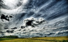 Desktop image. Nature. ID:30576