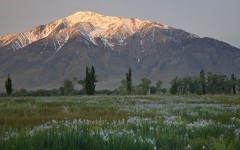 Desktop image. Nature. ID:30577