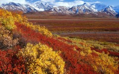 Desktop image. Nature. ID:30578