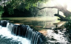 Desktop image. Nature. ID:30580