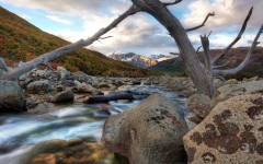 Desktop image. Nature. ID:30588