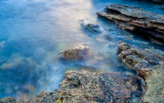 Desktop image. Nature. ID:30589