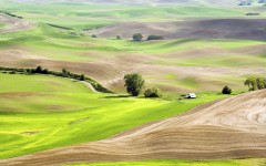 Desktop image. Nature. ID:30591