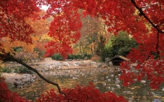 Desktop image. Nature. ID:30597