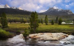 Desktop image. Nature. ID:30601