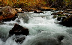 Desktop image. Nature. ID:30603