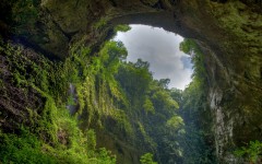 Desktop image. Nature. ID:30606