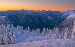 Desktop image. Nature. ID:30609