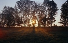 Desktop image. Nature. ID:30615