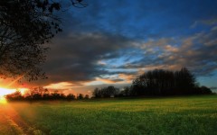 Desktop image. Nature. ID:30618