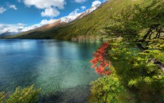 Desktop image. Nature. ID:30623