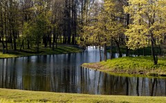 Desktop image. Nature. ID:30625