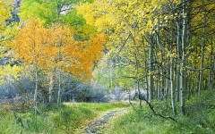 Desktop image. Nature. ID:30627