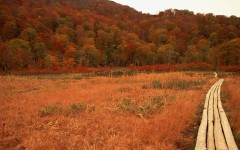 Desktop image. Nature. ID:30628