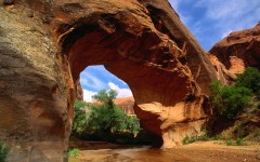 Desktop image. Nature. ID:30634