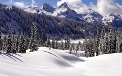 Desktop image. Nature. ID:30635