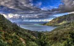 Desktop image. Nature. ID:30637