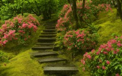 Desktop image. Nature. ID:30645