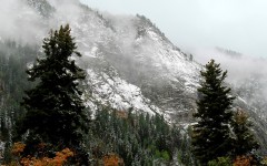 Desktop image. Nature. ID:30653