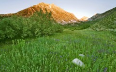 Desktop image. Nature. ID:30656