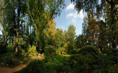 Desktop image. Nature. ID:30657