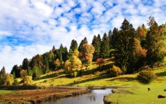 Desktop image. Nature. ID:30661