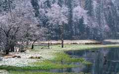 Desktop image. Nature. ID:30663