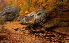 Desktop wallpaper. Nature. ID:30668