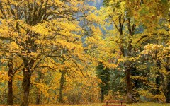 Desktop wallpaper. Nature. ID:30680